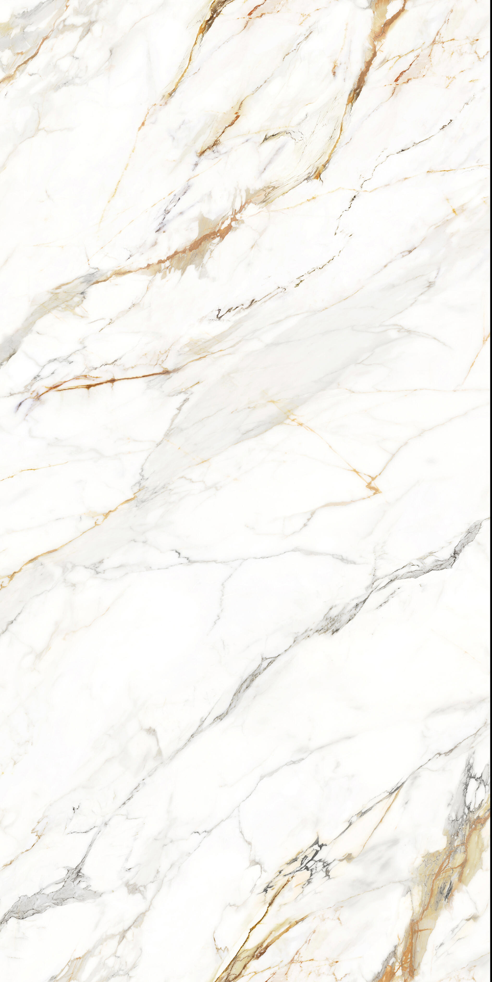 Carrara Golden - Eleganza Tiles